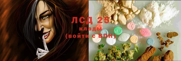 ГАЛЛЮЦИНОГЕННЫЕ ГРИБЫ Михайловск