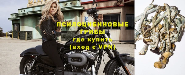 spice Медвежьегорск