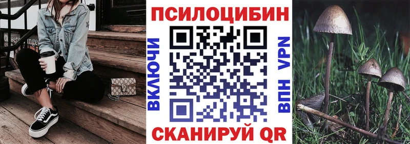 Псилоцибиновые грибы Psilocybe Майский
