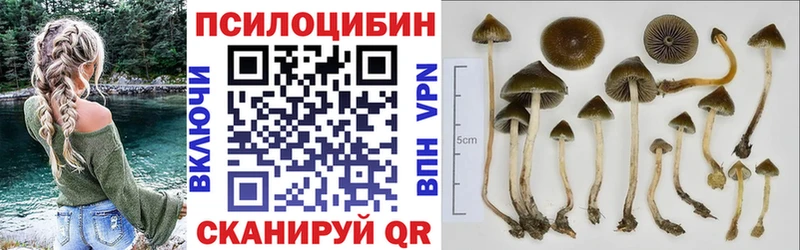 даркнет сайт  Майский  Псилоцибиновые грибы Magic Shrooms 