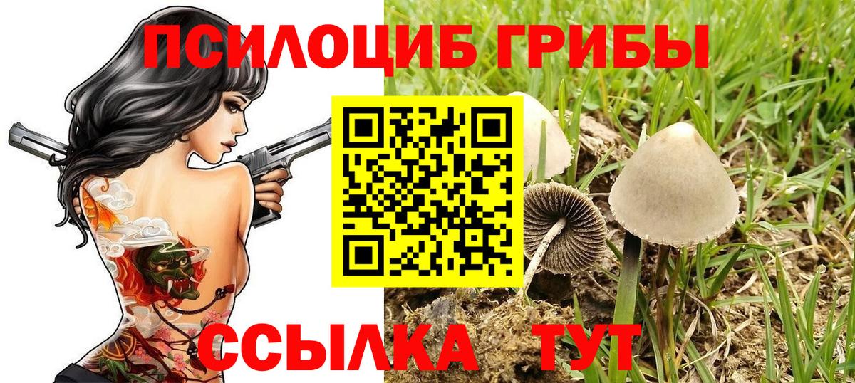 Галлюциногенные грибы ЛСД Майский