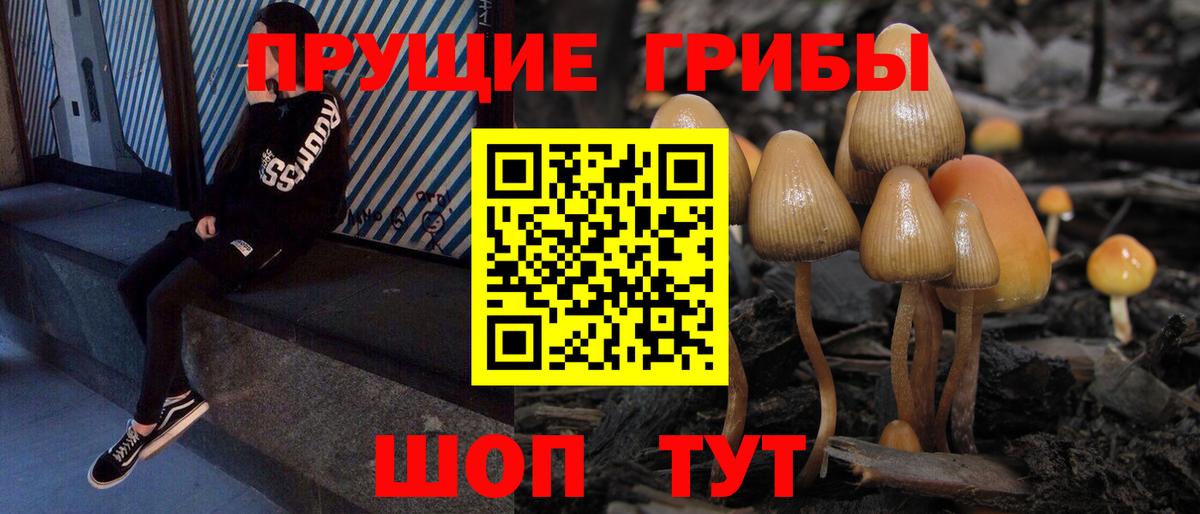 Майский  Галлюциногенные грибы мицелий  Вход с VPN 